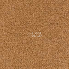 Ковролин Radici Forum Daino 2405 фото 1 | FLOORDEALER